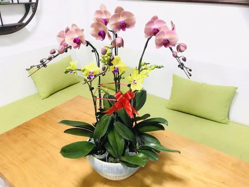 和潤農業精品花卉火熱出售中，打造您的專屬花園